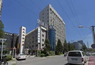 湖北环保增韧剂创新服务